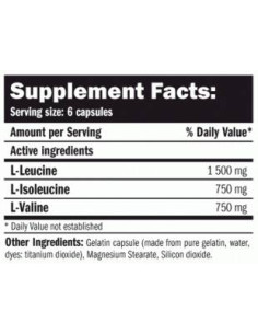 BCAA Elite Rate Capsules 2