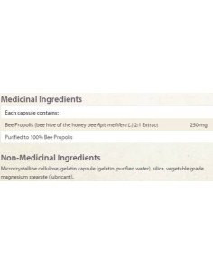 Bee Propolis 500 mg 2