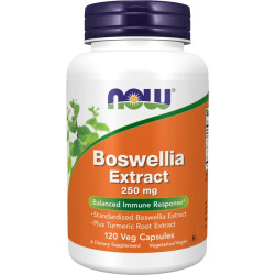 Boswellia Extract 250 mg