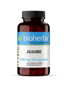 Jujube Fruit 280 mg