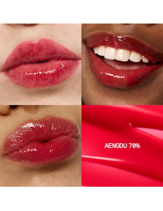 FWEE 3D Voluming gloss 70- 04 Red Aengdu 5.3g 2