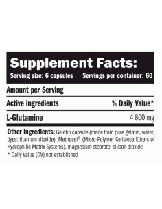 L-Glutamine Capsules 2