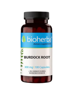 Burdock Root 400 mg