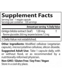 BEST Extra Strength Ginkgo 120 mg 2