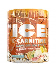 ICE L-Carnitine