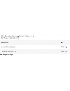 ICE L-Carnitine 2