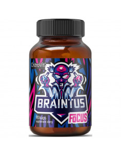 Braintus Focus / Gamer Series