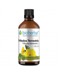 Tincture Tribulus Terrestris