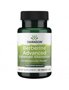 Berberine Advanced | Berbevis Extract 550 mg