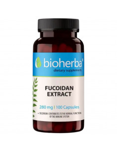 Fucoidan Extract 280 mg