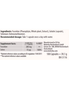 Fucoidan Extract 280 mg 2