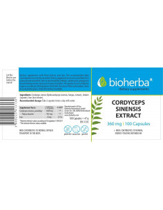 Cordyceps Sinensis 360 mg 2