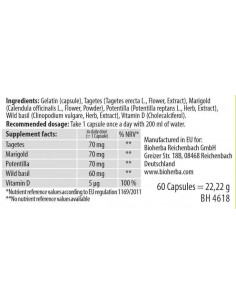 Women-N39,s Essentials 2