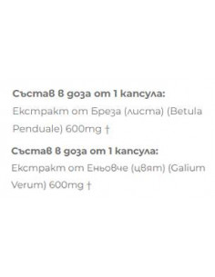 Брезеньовче | Екстракт от Бреза + Еньовче 2