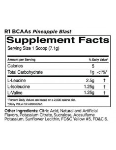 BCAAs | 100- Micronized 2:1:1 BCAA Formula 2