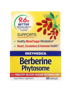 Berberine Phytosome | with Berbevis