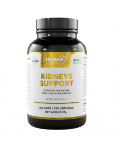 Kidneys Support | Proper Kidney Function Support