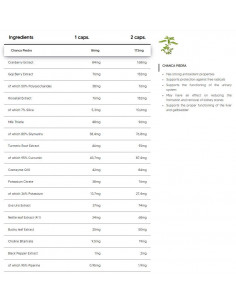 Kidneys Support | Proper Kidney Function Support 2