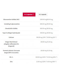 Joint Therapy Plus | Joint Support Formula 2