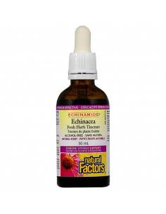 Echinacea Fresh Herb Tincture 1000 mg