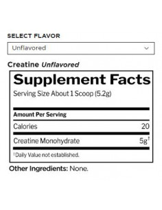 Creatine | 100 Micronized 2