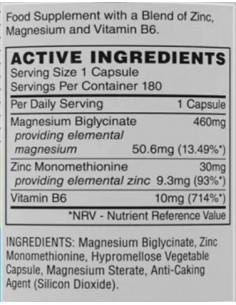 ZM500 Professional 2