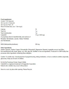 Celadrin -amp, MSM 500 mg 2
