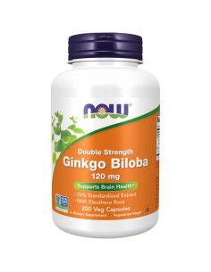 Ginkgo Biloba 120 mg / Double Strength