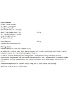 Ginkgo Biloba 120 mg / Double Strength 2