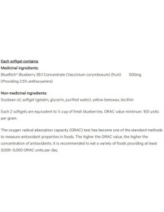 Super Strength Blueberry Concentrate 36:1 500 mg 2