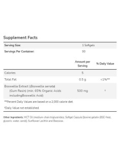 Boswellia Extract 500 mg 2