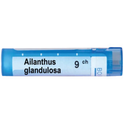 Ailanthus glandulosa 9 ch
