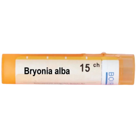 Bryonia 15 ch