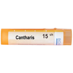 Cantharis 15 ch