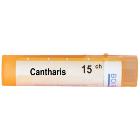 Cantharis 15 ch
