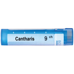 Cantharis 9 ch