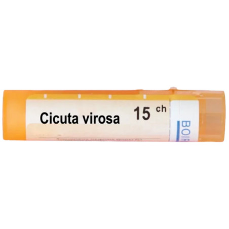 Cicuta virosa 15 ch