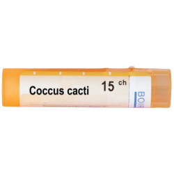 Coccus cacti 15 ch