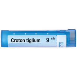 Croton tiglium 9 ch