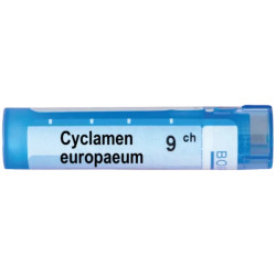 Cyclamen europeum 9 ch