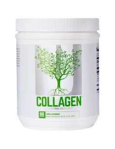 Collagen Powder / Types 1 and 3