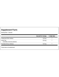 Astragalus Root 470 mg 2