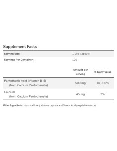 Vitamin B-5 / Pantothenic Acid 500 mg 2