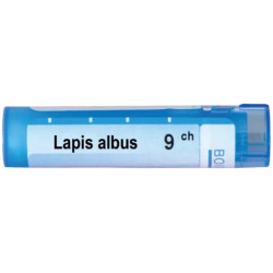 Lapis albus 9 ch