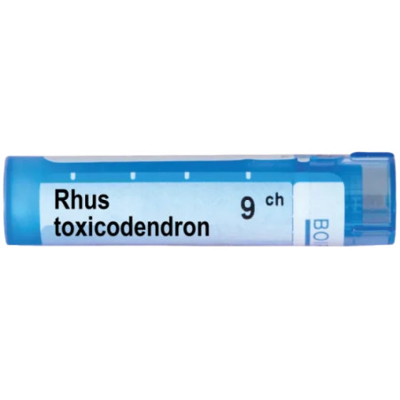 Rhus toxicodendron 9 ch