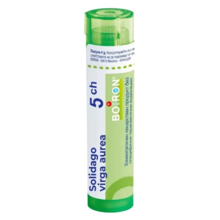 Solidago viga aurea 5 ch