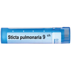 Sticta pulmonaria 9 ch